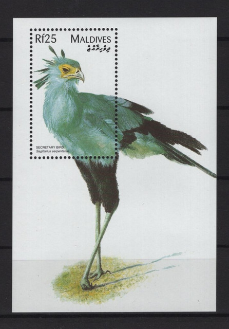114.jpg