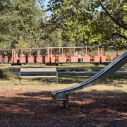IMG 3254