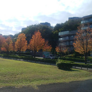 IMG-20221028-133956