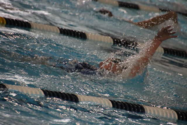 IMG-0184