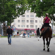 DSC05710-5