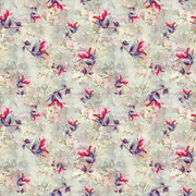 shutterstock 1443328223