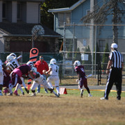 IMG-8235