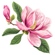 ee3d63068e036db5bc416ebfbdeee201