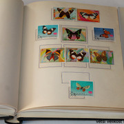 IMG-3969