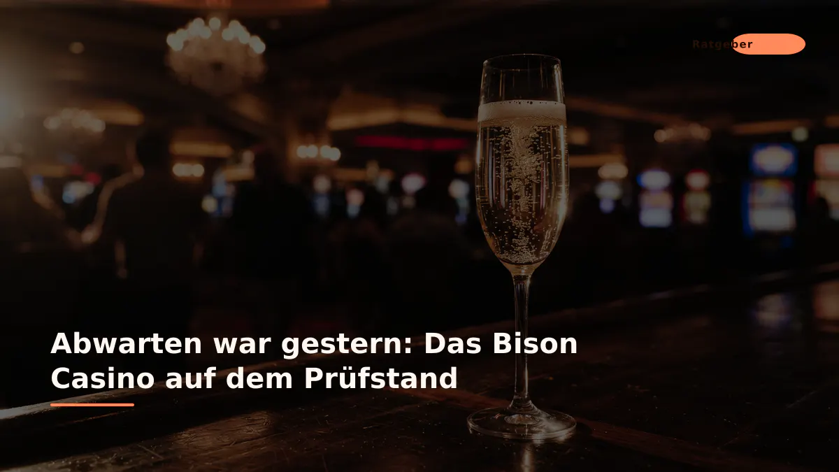Abwarten war gestern: Das Bison Casino auf dem Prüfstand