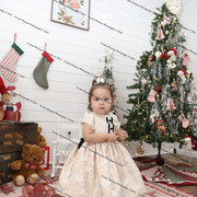 IMG 4125