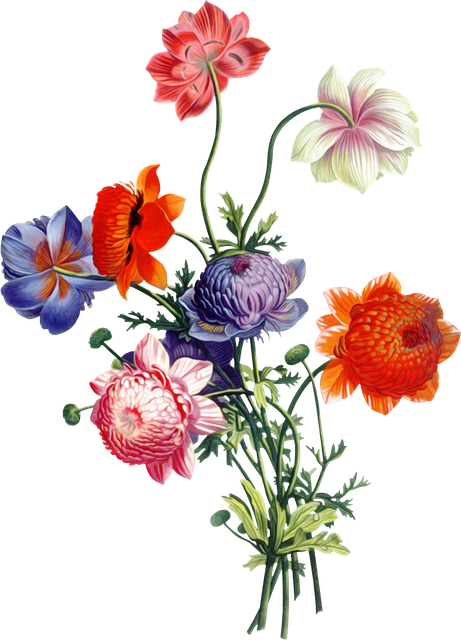 bf2ae84f3481da749fd350ef336bc698.png