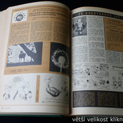 IMG-2463