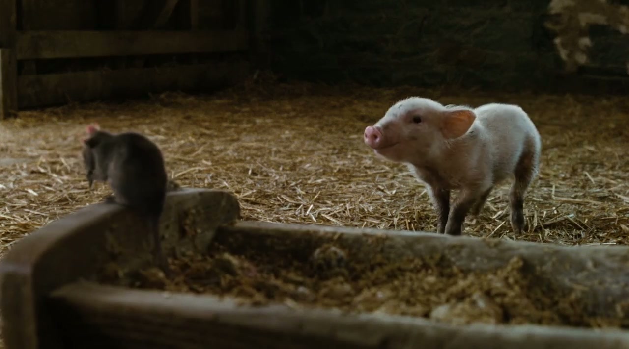 Charlotte's Web Screenshot