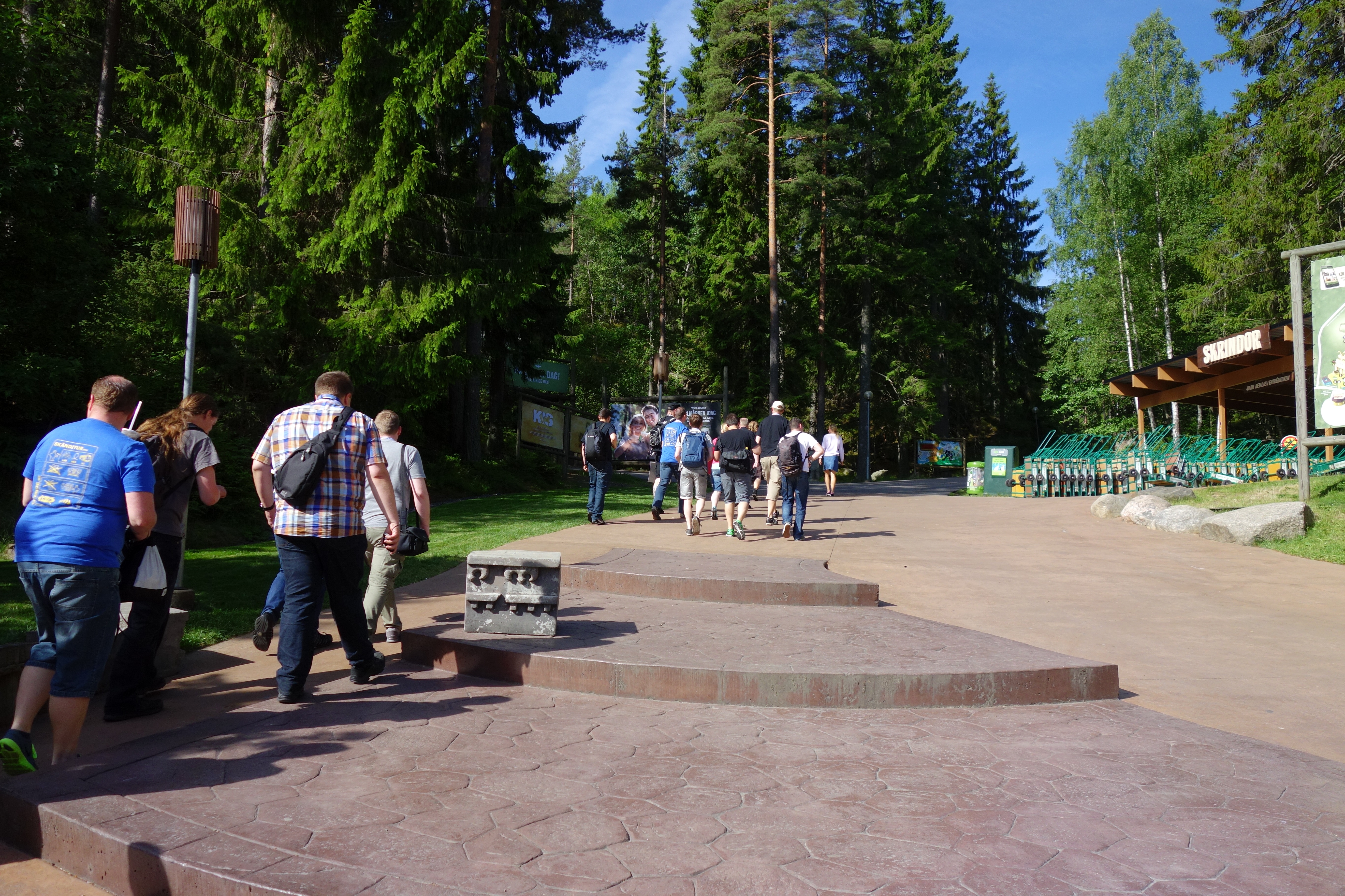 DSC08894