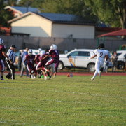 IMG-5354