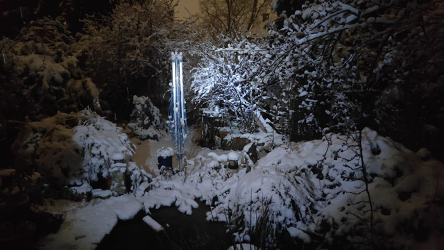 Garten.jpg