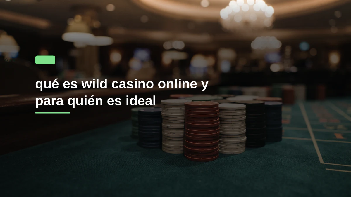 qué es wild casino online y para quién es ideal