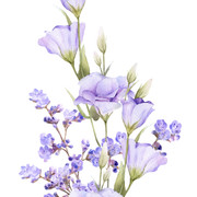 shutterstock 1664536384
