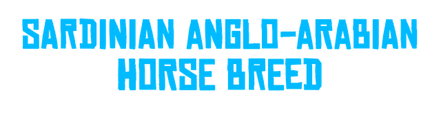 title-sardinianangloarabian