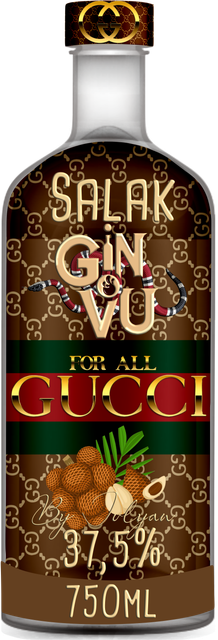 GINVU-GUCCI-24.png