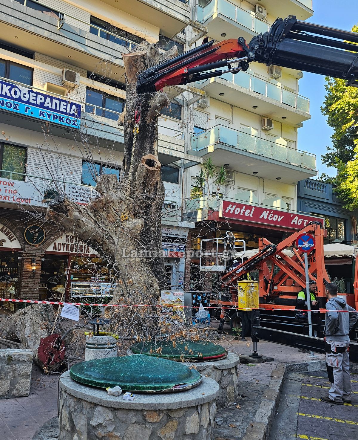 Δεντρο πλατεια Λαου009
