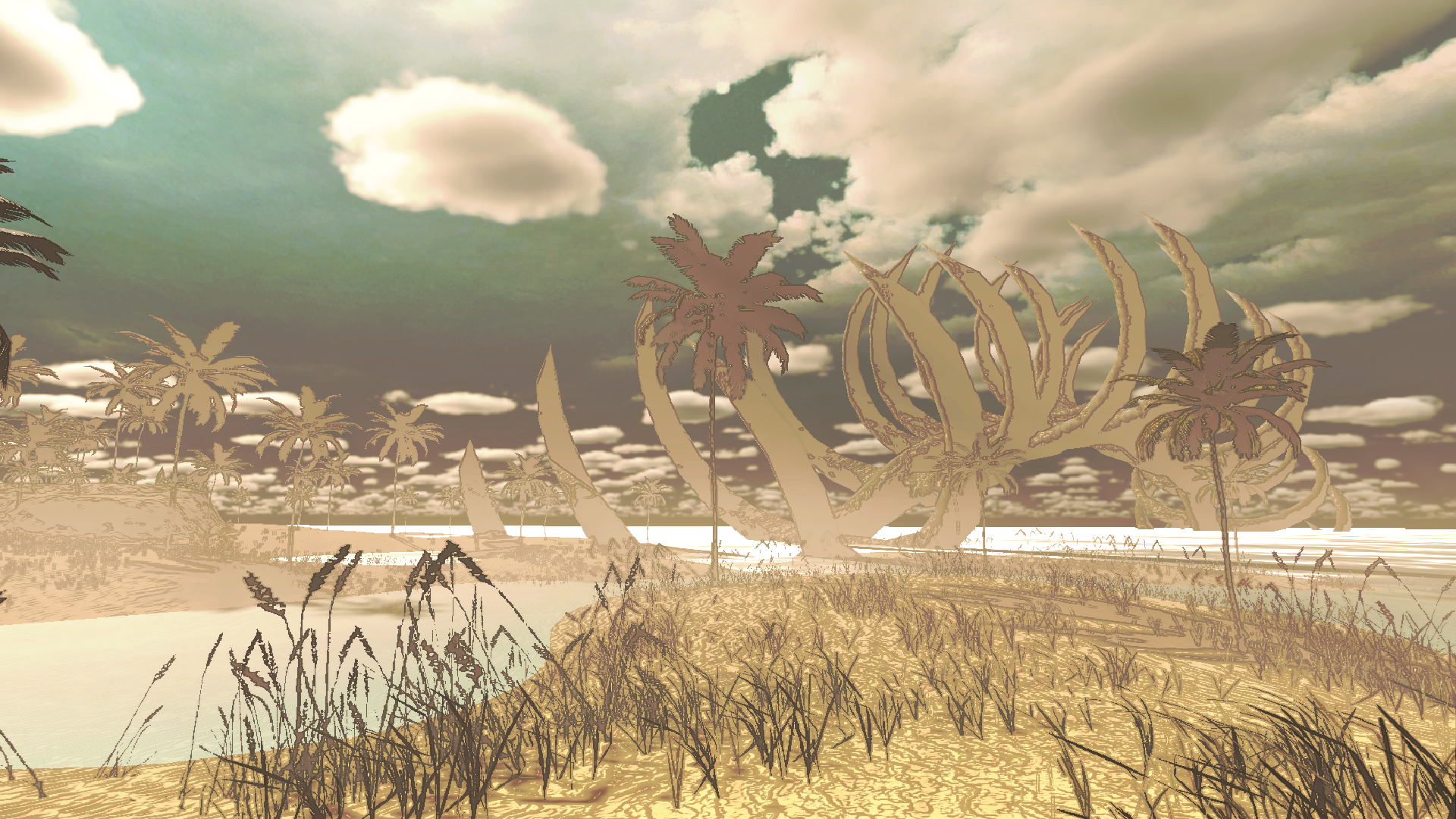 The beach