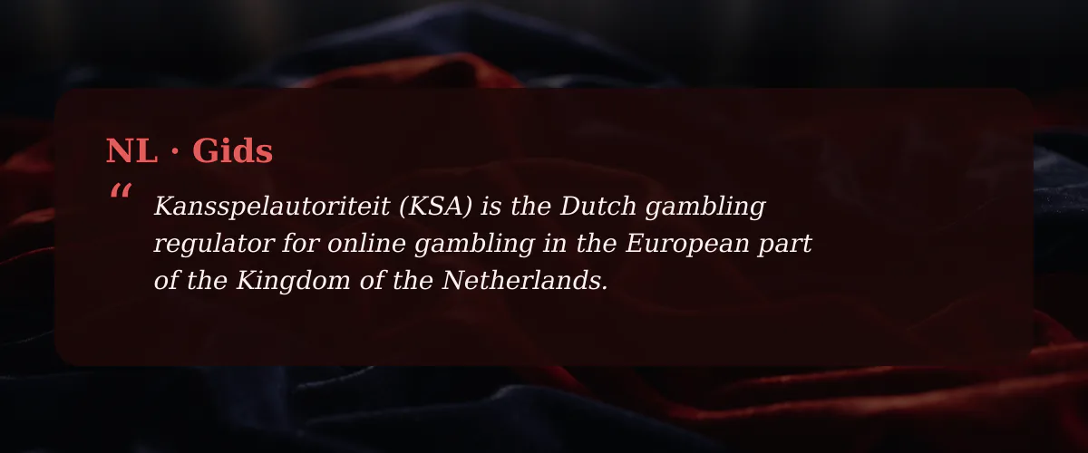 Online gokken casino in Nederland: mijn nuchtere blik — Gids