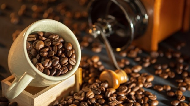 Giá cà phê hôm nay 3 8 2024 Giá cà phê robusta sắp ngừng rơi thận trọng khi đứng ở phe bán