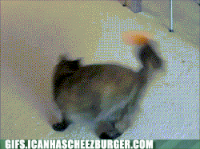 060526tgifll