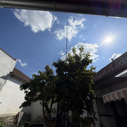 IMG 7420