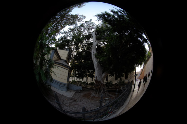 DSCF8973.jpg