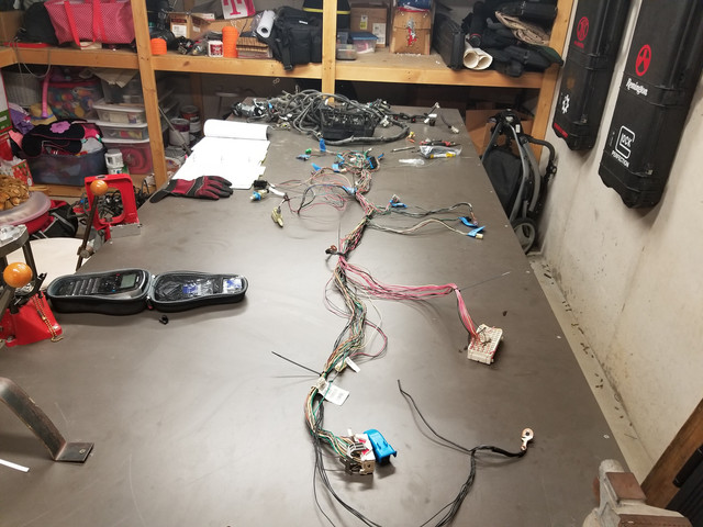 20181027-140351.jpg