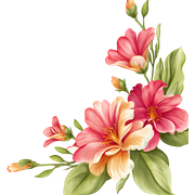e30394af66651e10ecbc7f32145cfd0c