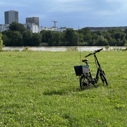IMG-8708