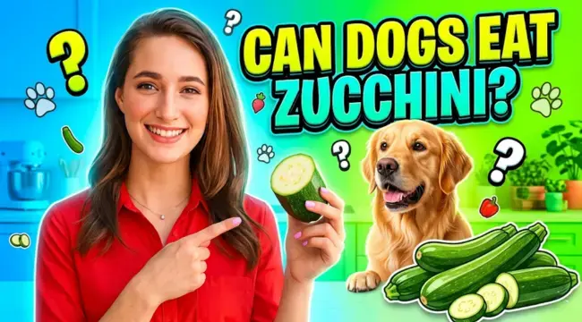Is Zucchini Safe for Canine Consumption?