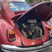 IMG-8398