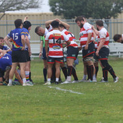 IMG-9315