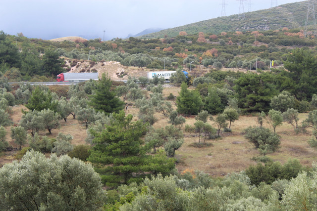 IMG-6305