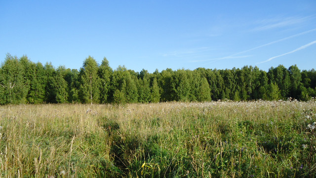 DSC00085