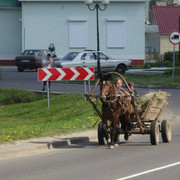 DSC00047-5