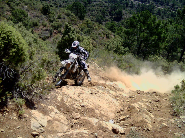 IMG-0458.jpg