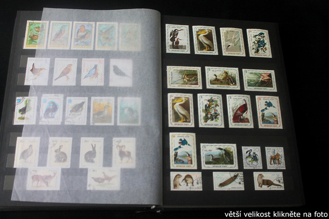 IMG-2242