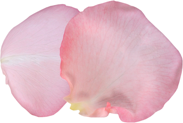 r004