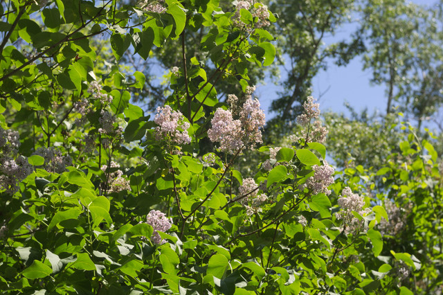 DSC3876.jpg