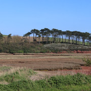 IMG 6263