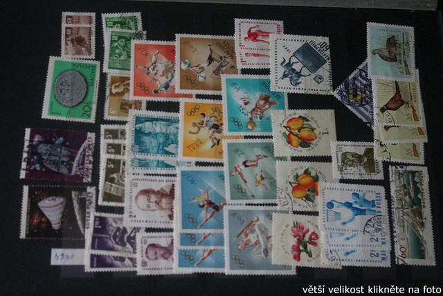 IMG-3243.jpg