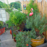 IMG-2892