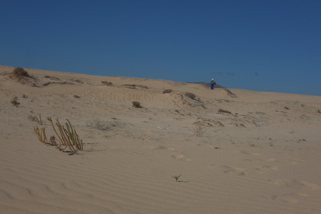 DSCF8560.jpg