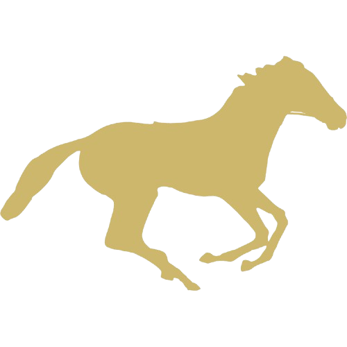 horse racing