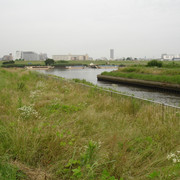 2010-06-24-034