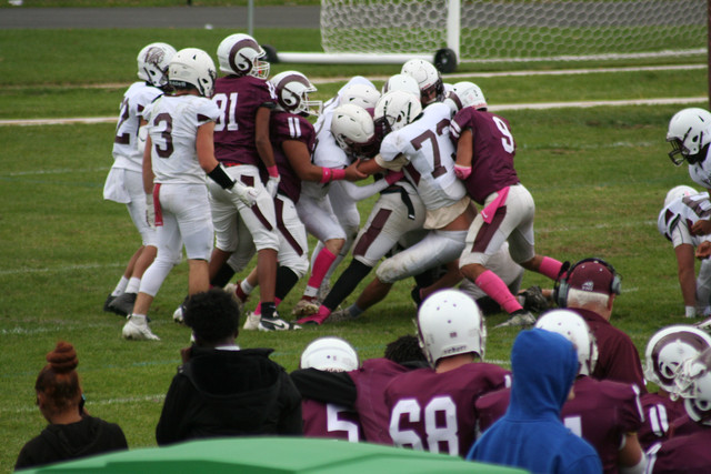 IMG-0736.jpg