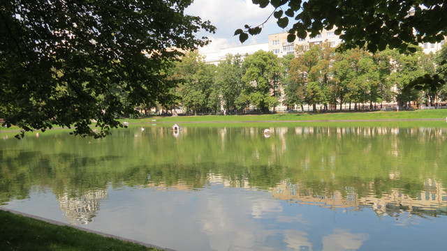 IMG-0620