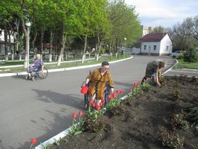 IMG-3605